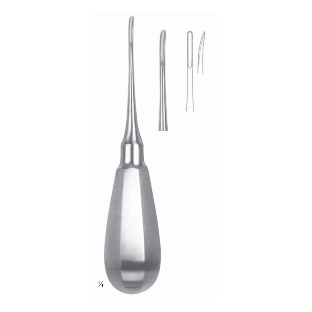 1 Bein Root Elevators Fig OA - Image 1