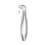 Fig. 13S Lower Premolars For Children