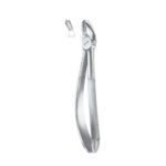 Fig. 17 Upper Molars, Right