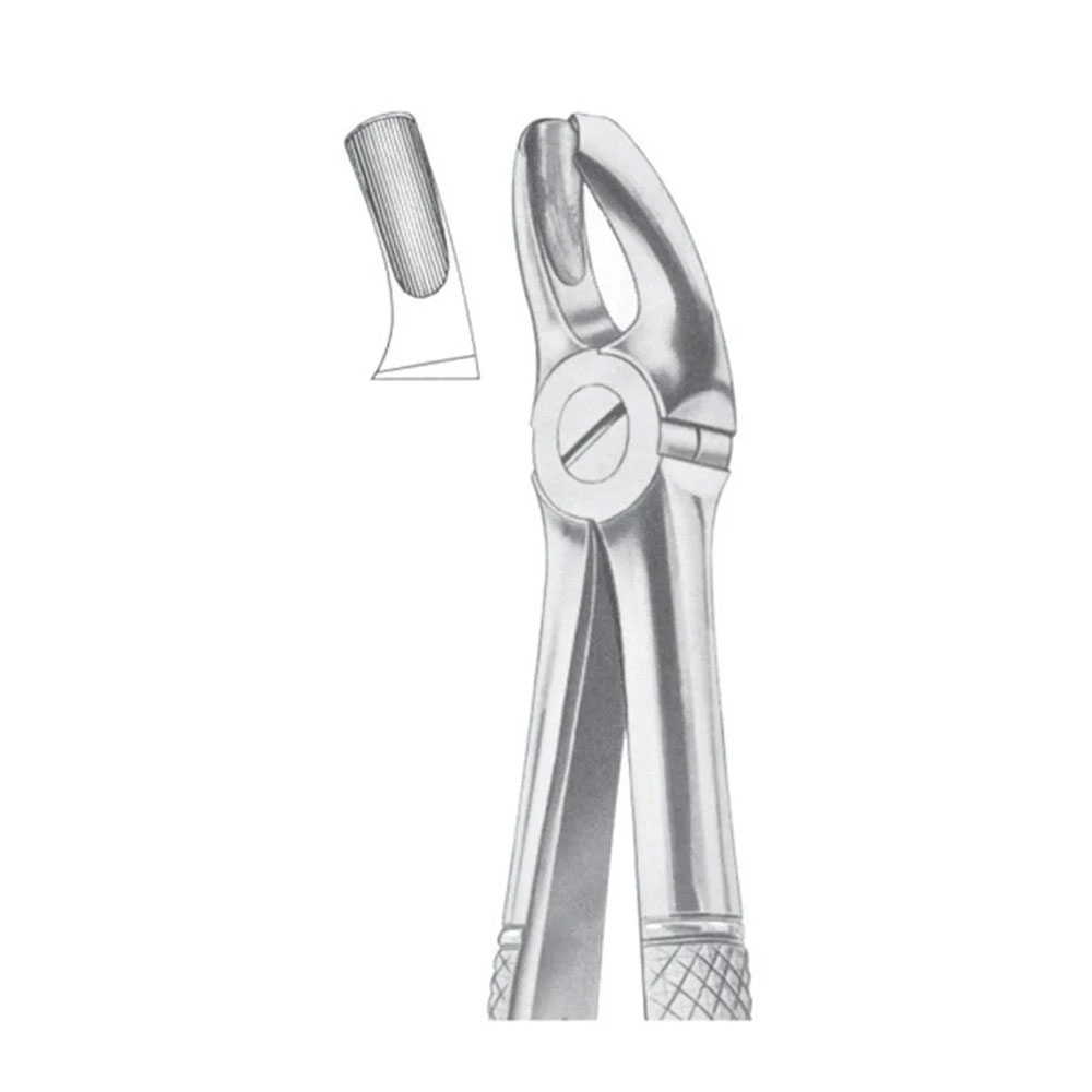 1 Fig. 18 Upper Molars, Left - Image 1