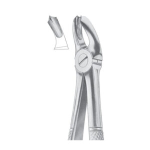 Fig. 18A Upper Molars | Nisha Surgical