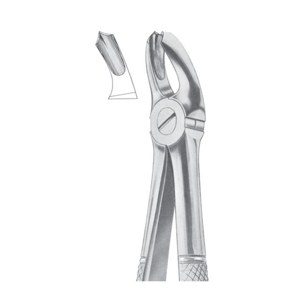 Fig. 18A Upper Molars | Nisha Surgical Fig. 18A Upper Molars | Nisha Surgical