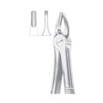 Fig. 3 Upper Incisors & Canines | Nisha Surgical