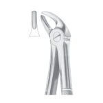 Fig. 4 Upper Incisors & Canines | Nisha Surgical