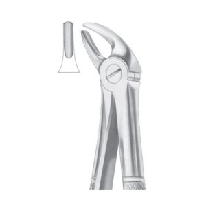 Fig. 4 Upper Incisors & Canines | Nisha Surgical