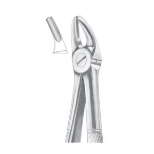 Fig. 4 Upper Incisors & Canines | Nisha Surgical