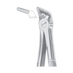 Fig. 8 Lower Premolars | Nisha Surgical