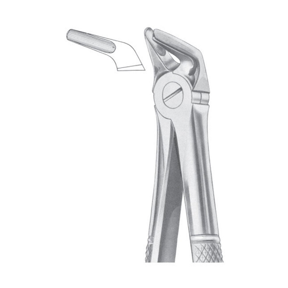 Fig. 8 Lower Premolars | Nisha Surgical Fig. 8 Lower Premolars | Nisha Surgical