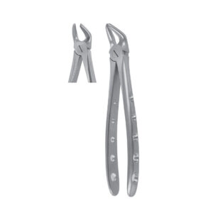 Fig. 8 Lower Premolars | Nisha Surgical