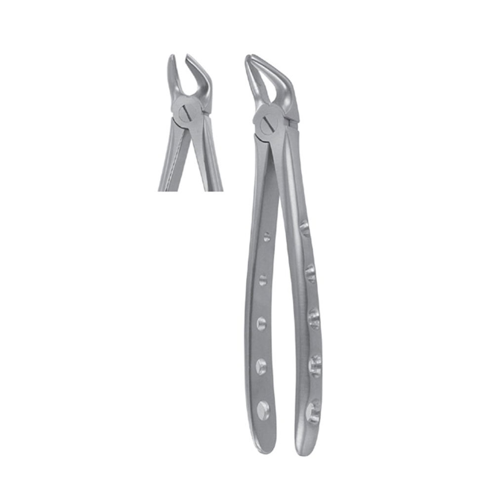 Fig. 8 Lower Premolars | Nisha Surgical Fig. 8 Lower Premolars | Nisha Surgical