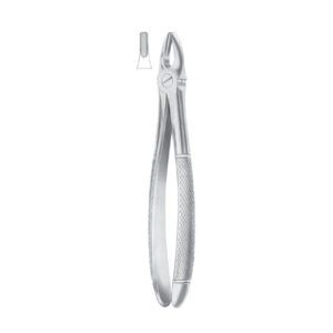 Fig. 1 Upper Centrals & Canines | Nisha Surgical