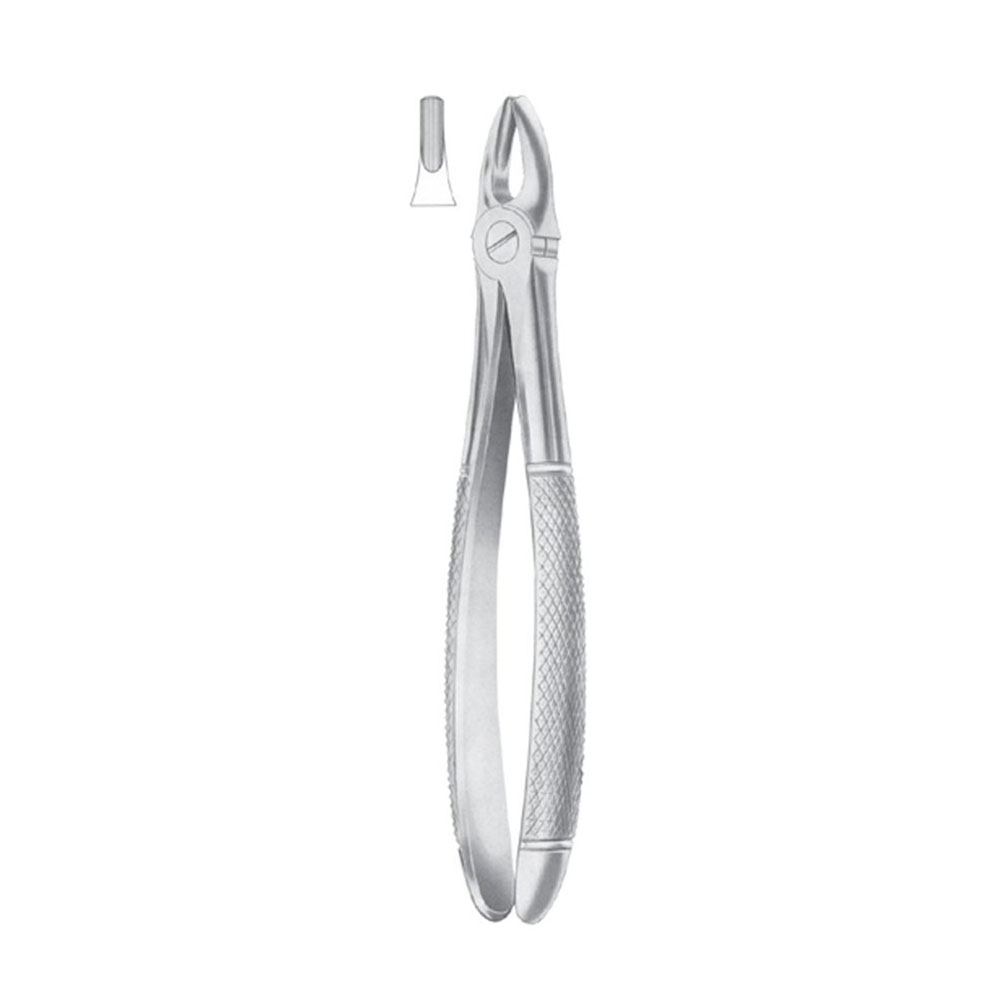 Fig. 1 Upper Centrals & Canines | Nisha Surgical Fig. 1 Upper Centrals & Canines | Nisha Surgical
