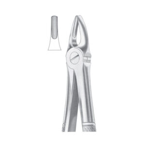 Fig. 2 Upper Laterals & Canines | Nisha Surgical
