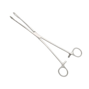 Foerster Sponge Forceps 25cm | Nisha Surgical