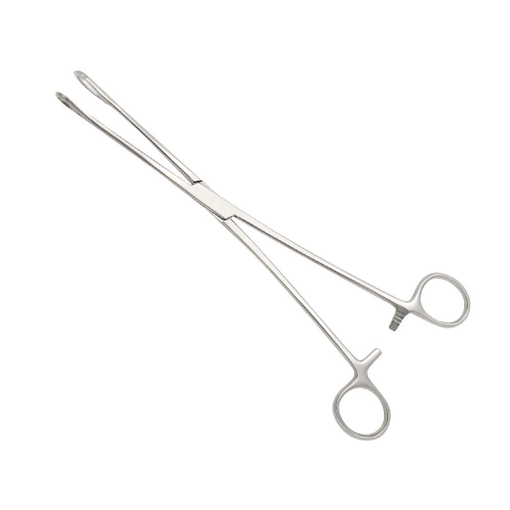 Foerster Sponge Forceps 25cm | Nisha Surgical Foerster Sponge Forceps 25cm | Nisha Surgical