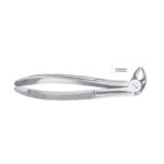 Fig. 13S Lower Premolars For Children - Image 2