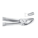 Fig. 18 Upper Molars, Left - Image 2