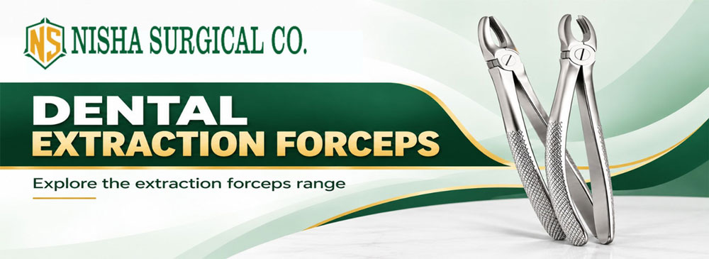 Stainless steel dental extraction forceps