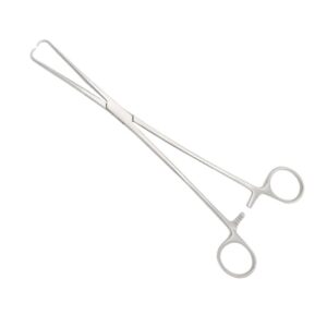 Nisha Surgical Schroder Tenaculum Forceps 25cm Stainless Steel